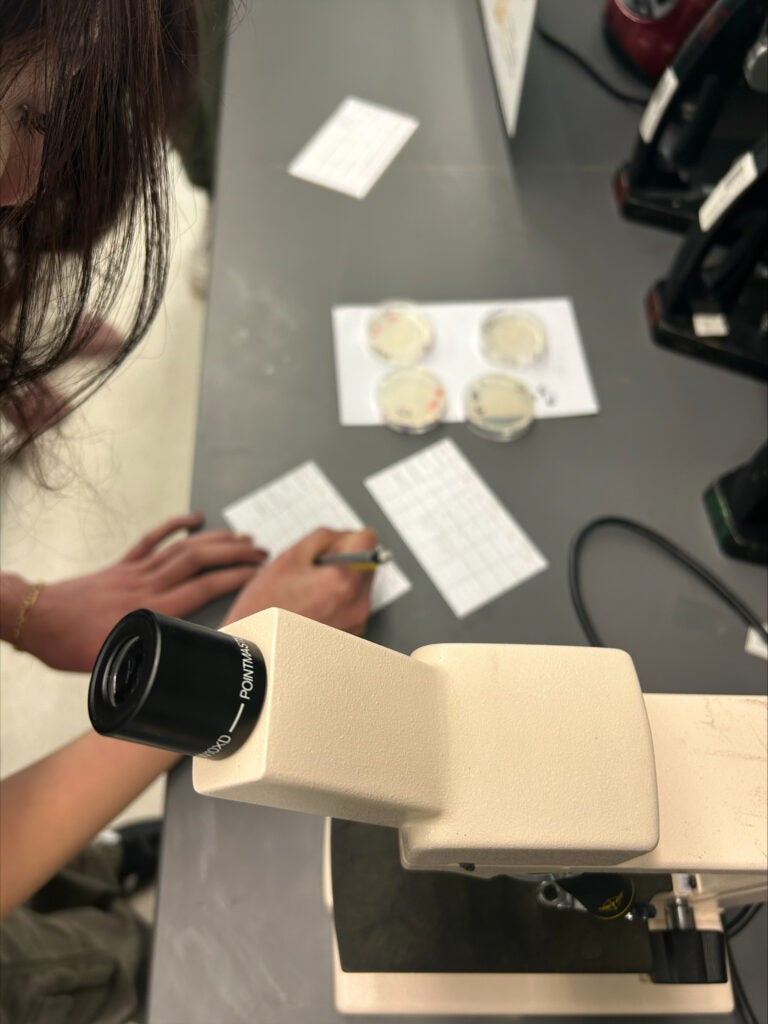 Student with microscope writing lab notes