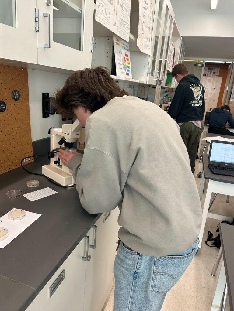 Student hunched over microscope