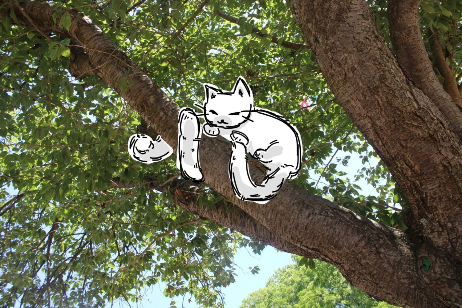 animated cat sitting in photo of tree picture