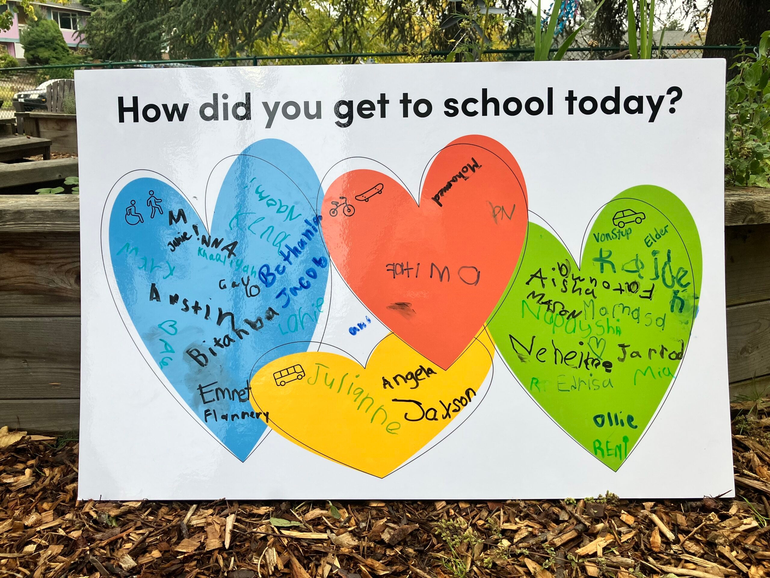 Sign reads "How did you get to school today" and student signatures fill bubbles for their mode of transportation.