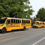 School busses