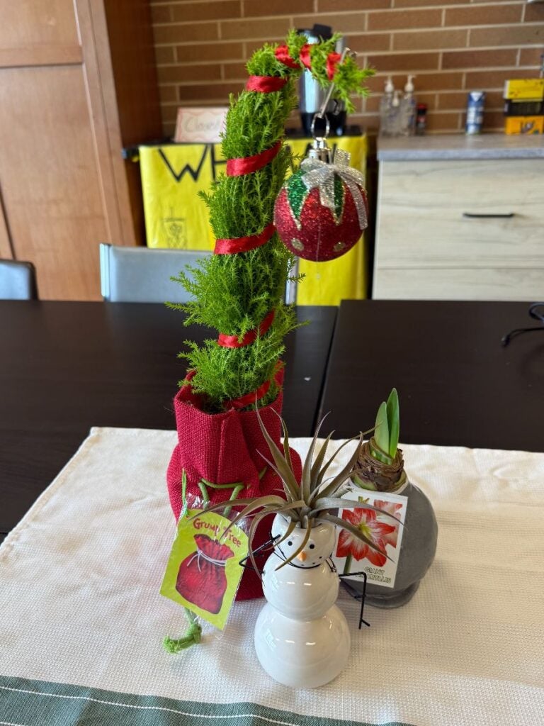 Tree and potted flowers.