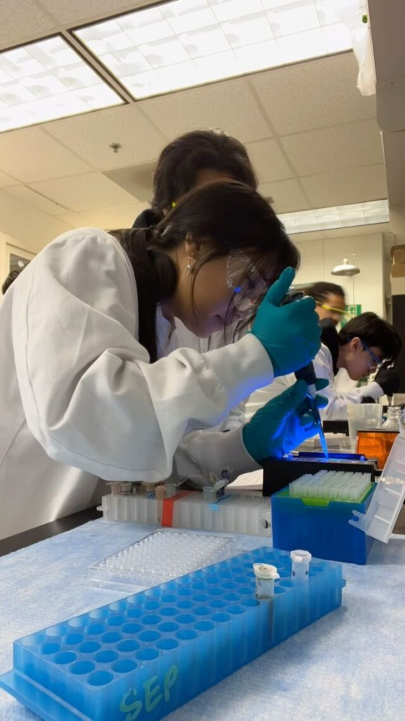 students working in a science lab, wearing lab coats and safety goggles