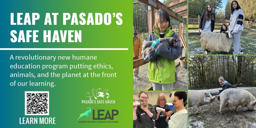 Leap at Pasado's Safe Haven 
A revolutionary new humane education program putting ethics, animals, and the planet at the front of our learning.