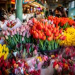 flower market buckets full of tulips